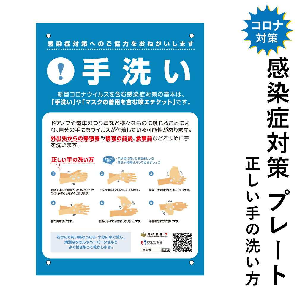 LION 狮王药用泡沫洗手液花香 250ml