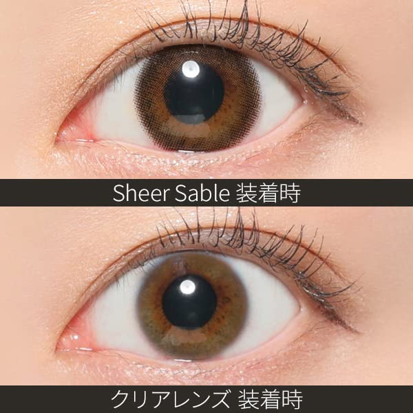 REVIA 1 个月隐形眼镜 #Sheer Sable 1 片(1 盒)