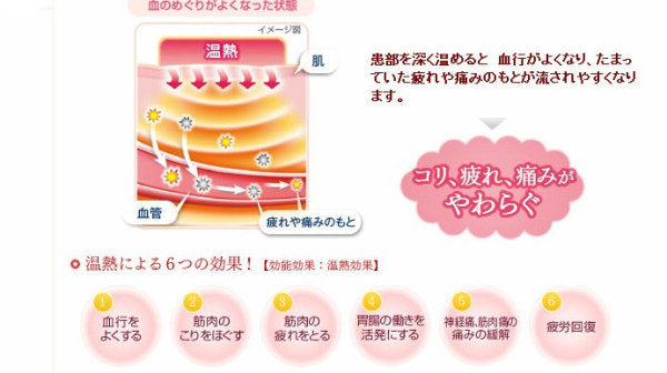 KAO MegRhythm Steam Thermo Patch 5pcs