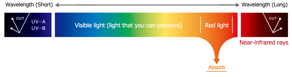 POLA BA 轻选防晒霜 SPF50+ PA++++ 45g