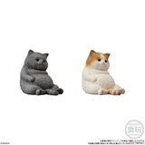 BANDAI Mocchiri Kororin Cat Soft Vinyl Doll 1pc