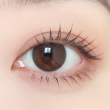 ENVIE Daily Contact Lenses #Maroon Black 10pcs