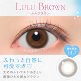 CANDY MAGIC Daily Contact Lenses  #Lulu brown 10pcs