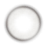ENVIE Daily Contact Lenses #Minuit Grege 10pcs