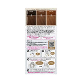 花王 Liese Prettia 泡沫染发剂烟灰灰