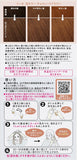花王 Liese Prettia 泡沫染发剂烟灰灰