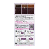花王 Liese Prettia 泡沫染发剂烟灰灰