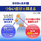 TAISHO Pabron Ace Pro-x Tablets 36 Tablets
