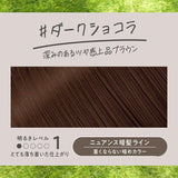 花王 Liese Prettia 泡沫染发剂烟灰灰