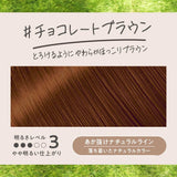 花王 Liese Prettia 泡沫染发剂烟灰灰