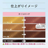 KAO LIESE Bleach-On Color Dye Flannel Flower Beige 108ml