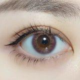 FOMOMY Daily Contact Lenses #Coco Lavender 10pcs