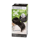 KAO Liese Prettia Foam Hair Dye #Natural Black
