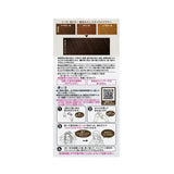 KAO Liese Prettia Foam Hair Dye #Natural Brown
