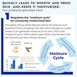 FANCL Moisturizing Mask 6pcs