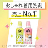 KAO Emal Anti-shrinking Color Protecting Laundry Liquid Rose Fragrance 460ml
