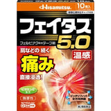 HISAMITSU Pharmaceutical Fatus 5.0 Warmth 10pcs