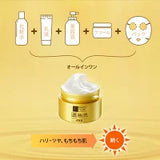 ROHTO HadaLabo Shirojun Gokujun Perfect Gel 100g