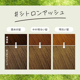 花王 Liese Prettia 泡沫染发剂烟灰灰