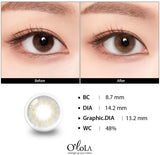 OLOLA 1 day Contact Lens #A.ble 1 Day Grey 10Pcs