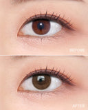 OLENS Daily Contact Lenses Shine Touch #Milky Choco 20pcs