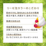 花王 Liese Prettia 泡沫染发剂烟灰灰