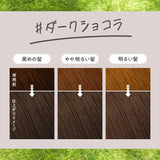 花王 Liese Prettia 泡沫染发剂烟灰灰