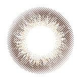 ENVIE Daily Contact Lenses #Champagne Gray 10pcs