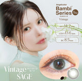 CONTACT LENS Japan Daily P-0.00