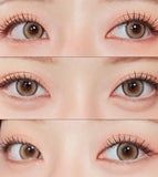 OLOLA 1 Day Contact lens #Glint Brown 10pcs