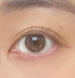 ENVIE Daily Contact Lenses #Classic Umber 10pcs