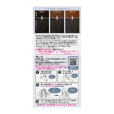 KAO Liese Prettia Foam Hair Dye #Ice Bluege
