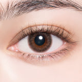 ENVIE Daily Contact Lenses #Champagne Gray 10pcs