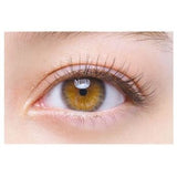 D-UP Lash On #01 Natural 2pairs