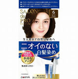 DARIYA Salon De Pro Hair Dye For Gray Hair #6 Dark Brown 40g