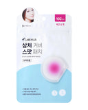 CAREPLUS Cover Spot Patch 102pcs