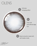 OLENS One Month Contact Lenses #Big Some Gray 2pcs