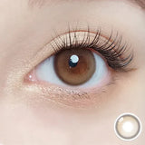 OLOLA 1 day Contact Lens #Purity Shine Hazel Brown 10pcs