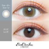 EVER COLOR Daily Contact Lenses #Water Quartz 10pcs