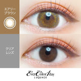 EVER COLOR Daily Contact Lenses #Airy Brown 10pcs