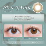 LARME Daily Contact Lenses #Sherry Mint 10pcs