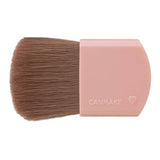 CANMAKE Gradation Cheeks #01 Berry Yogurt 1pc
