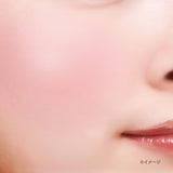 CANMAKE Gradation Cheeks #02 Peach Milk Tea 1pc