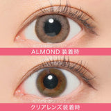 LUNA NATURAL Daily Contact Lenses #Almond 10pcs