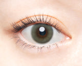BAMBI SERIES Daily Contact Lenses #Vintage Sage 10pcs