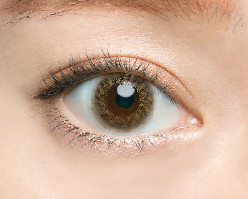 BAMBI SERIES Daily Contact Lenses #Vintage Hazel 10pcs