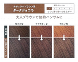 KAO Liese Prettia Foam Hair Dye Dark Chocolate Brown 1pc