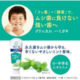 LION Clinica Jr. Toothpaste-friendly Mint Flavor 60g