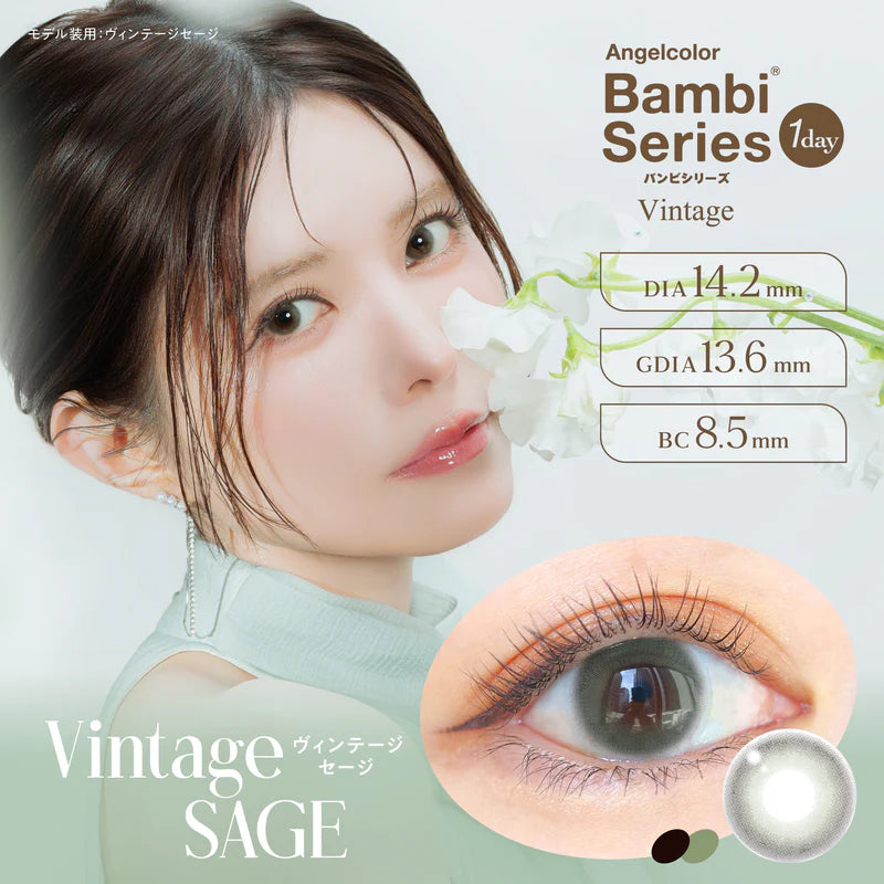 BAMBI SERIES Daily Contact Lenses #Vintage Sage 10pcs
