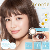 CONTACT LENS Japan Daily P-5.00